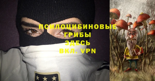 трава Армянск