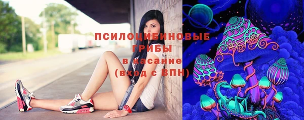 трава Армянск